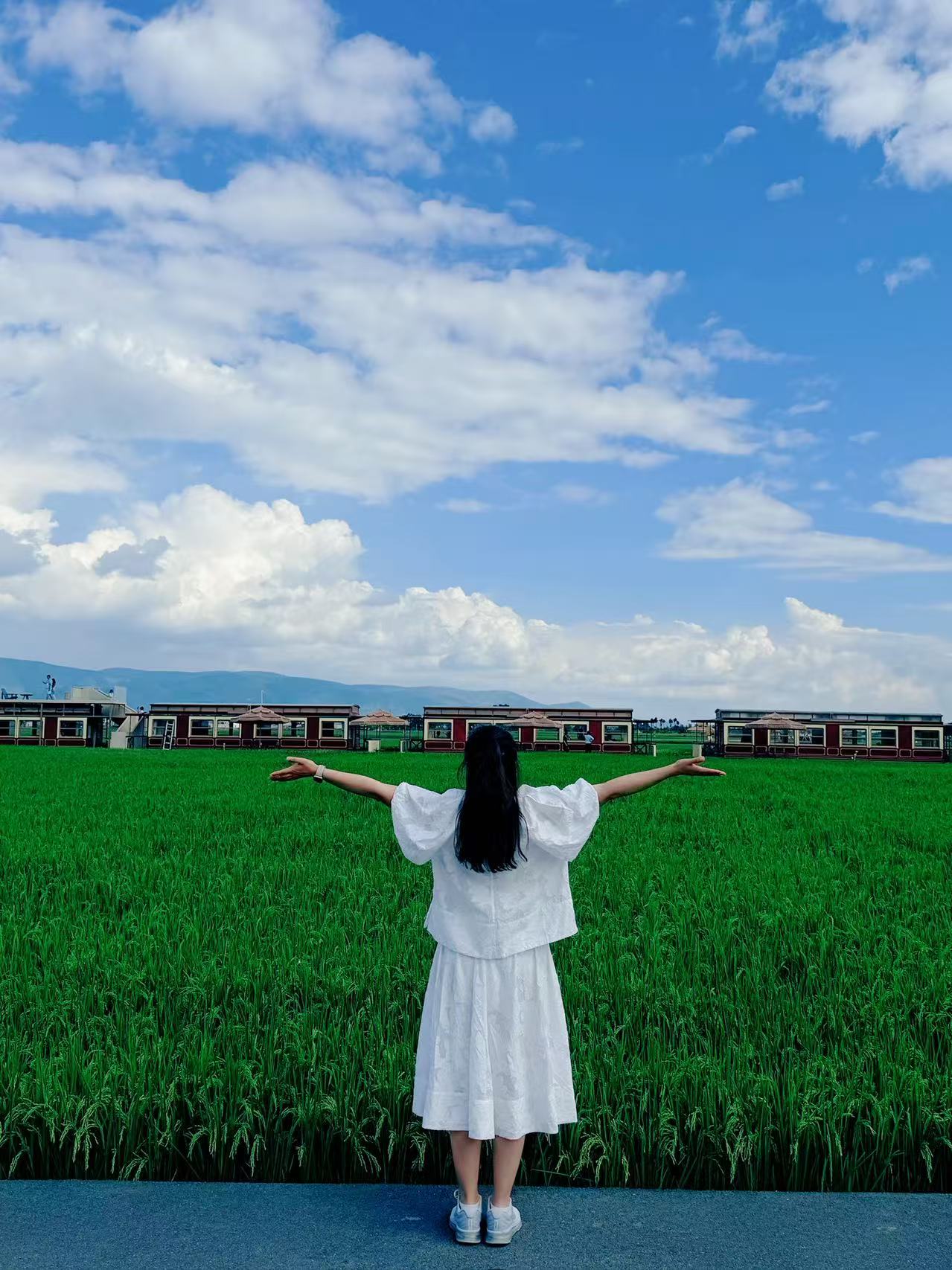 大理喜洲麦田里的旅行时刻